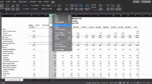 Inserting columns to compare our budget vs actual data in Excel.