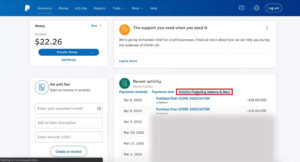 Paypal link to Activity (including balance & fees)