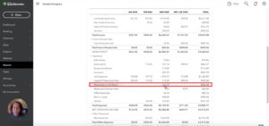 Suspicious looking expense in the Profit and Loss report of QuickBooks Online.