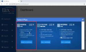 Selecting the Essential E-File Plan in Tax1099