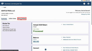 More options tab in the WA state DOR website