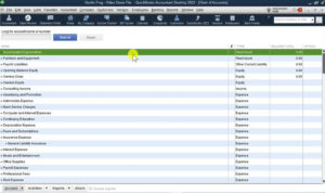 Chart of Accounts in QuickBooks Desktop 2022 Premier