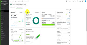 Business Overview screen in QuickBooks Online.