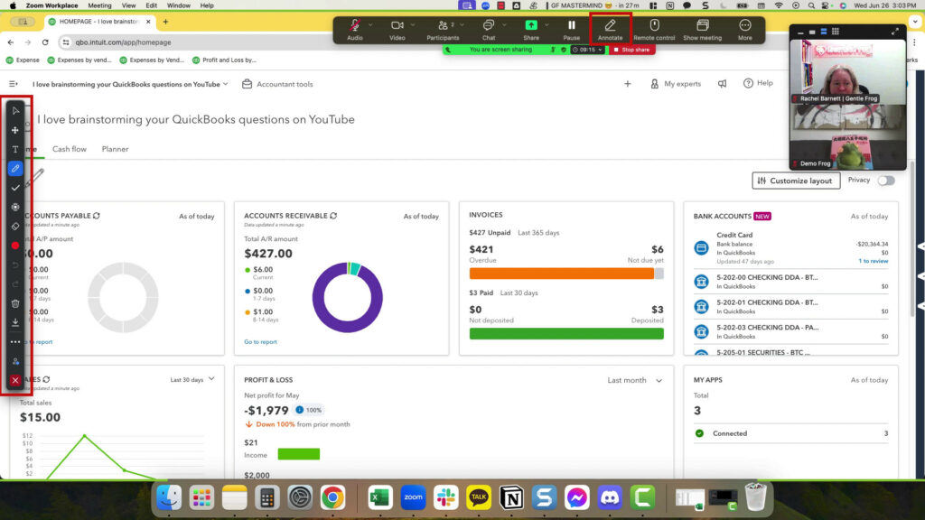 Turning on annotate in Zoom opens the annotate menu on the left.