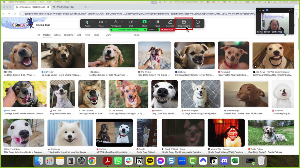 Open Showing meeting on the Zoom sharing toolbar