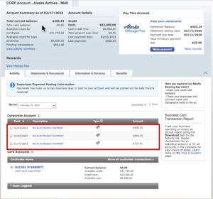 Example of a corporate credit card accounts transactions, which are only payments