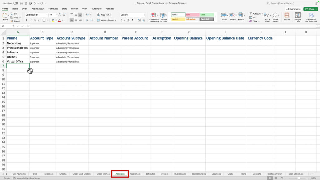 SaasAnt simple template Accounts tab filled in with the required information