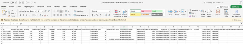 Excel export of transactions from Stripe