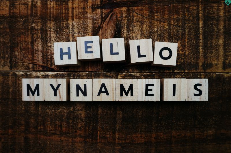 Naming your bookkeeping business