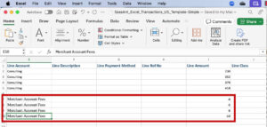 Adding a line for each Stripe transaction's fees in the SaasAnt template